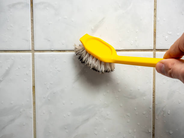 Best Mold Removal and Inspection  in Frostburg, MD