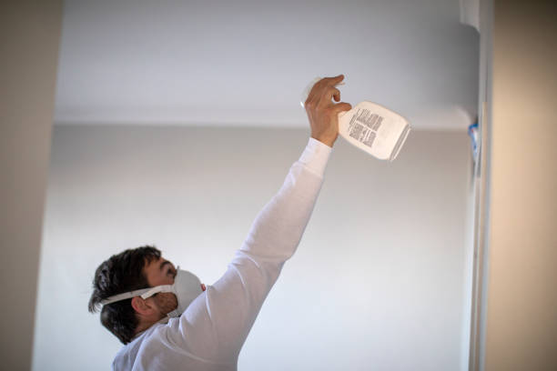 Best Mold Damage Repair  in Frostburg, MD